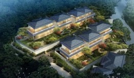 郑州蓝城最新事件爆料新闻,最新爆料揭示惊人真相